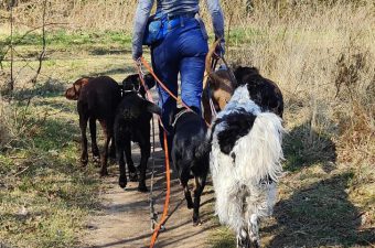 Afbeelding van WhatsApp op 2025-04-27 om 21.49.13_5fe56e68