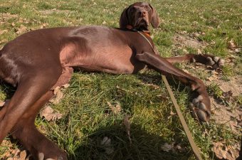 .trashed-1745162684-PXL_20250321_131759361